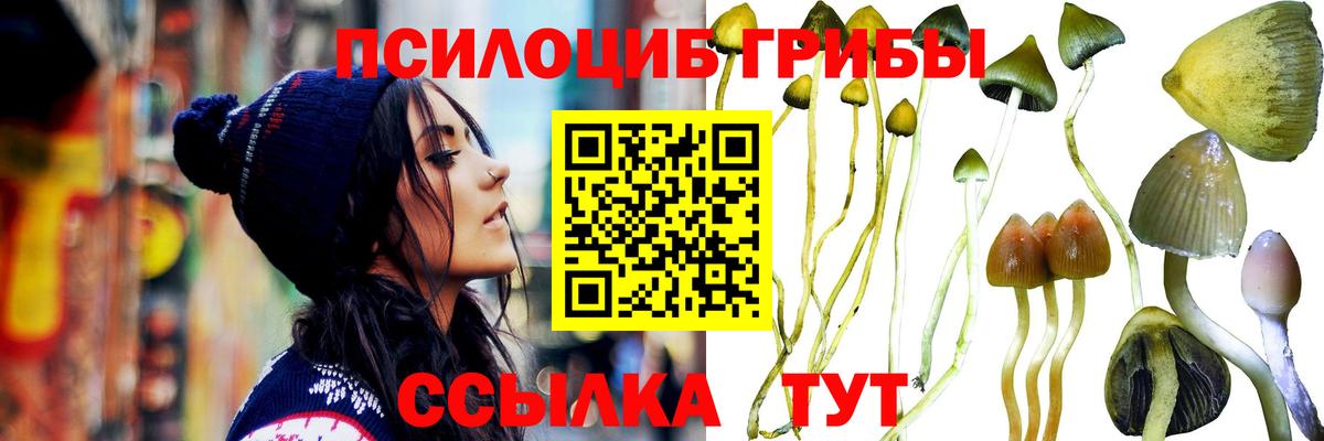 Галлюциногенные грибы мухоморы Сухой Лог