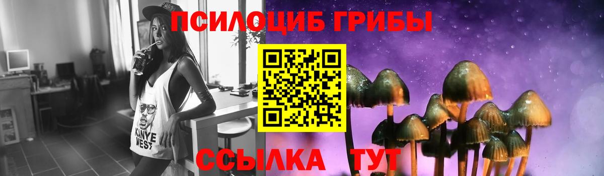 Галлюциногенные грибы прущие грибы  Вход с VPN  Сухой Лог 